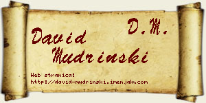 David Mudrinski vizit kartica